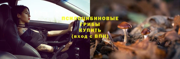 соль ск Карпинск