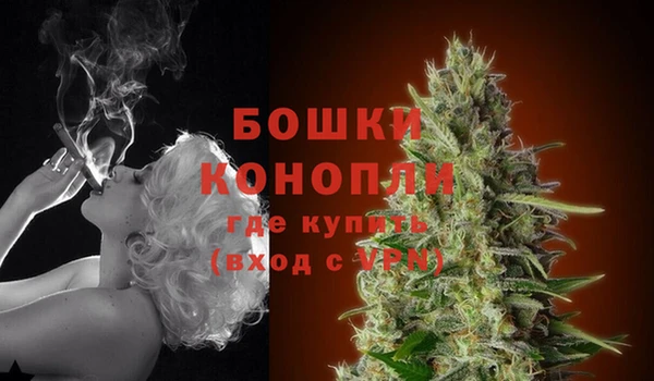 гашик Кинешма